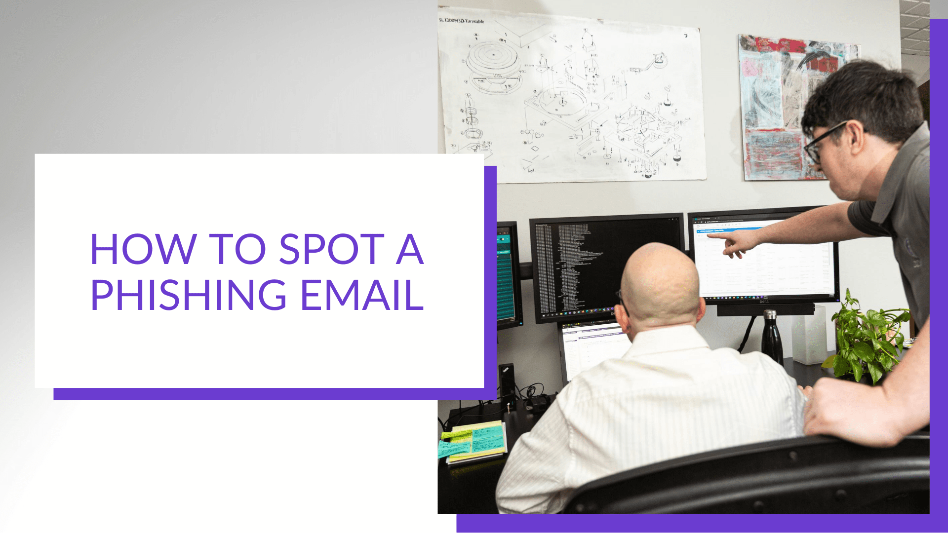 how to spot a phishing email image