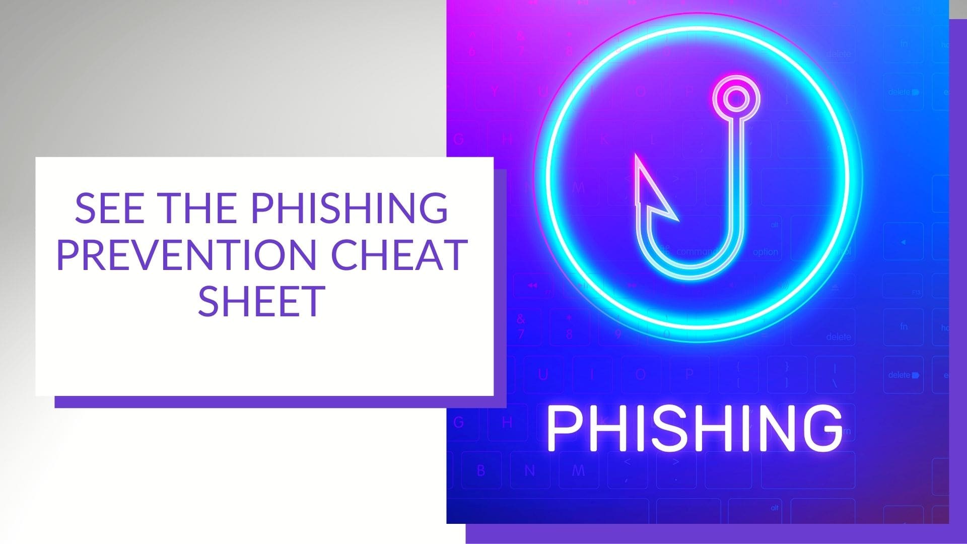 phishing prevention tips image