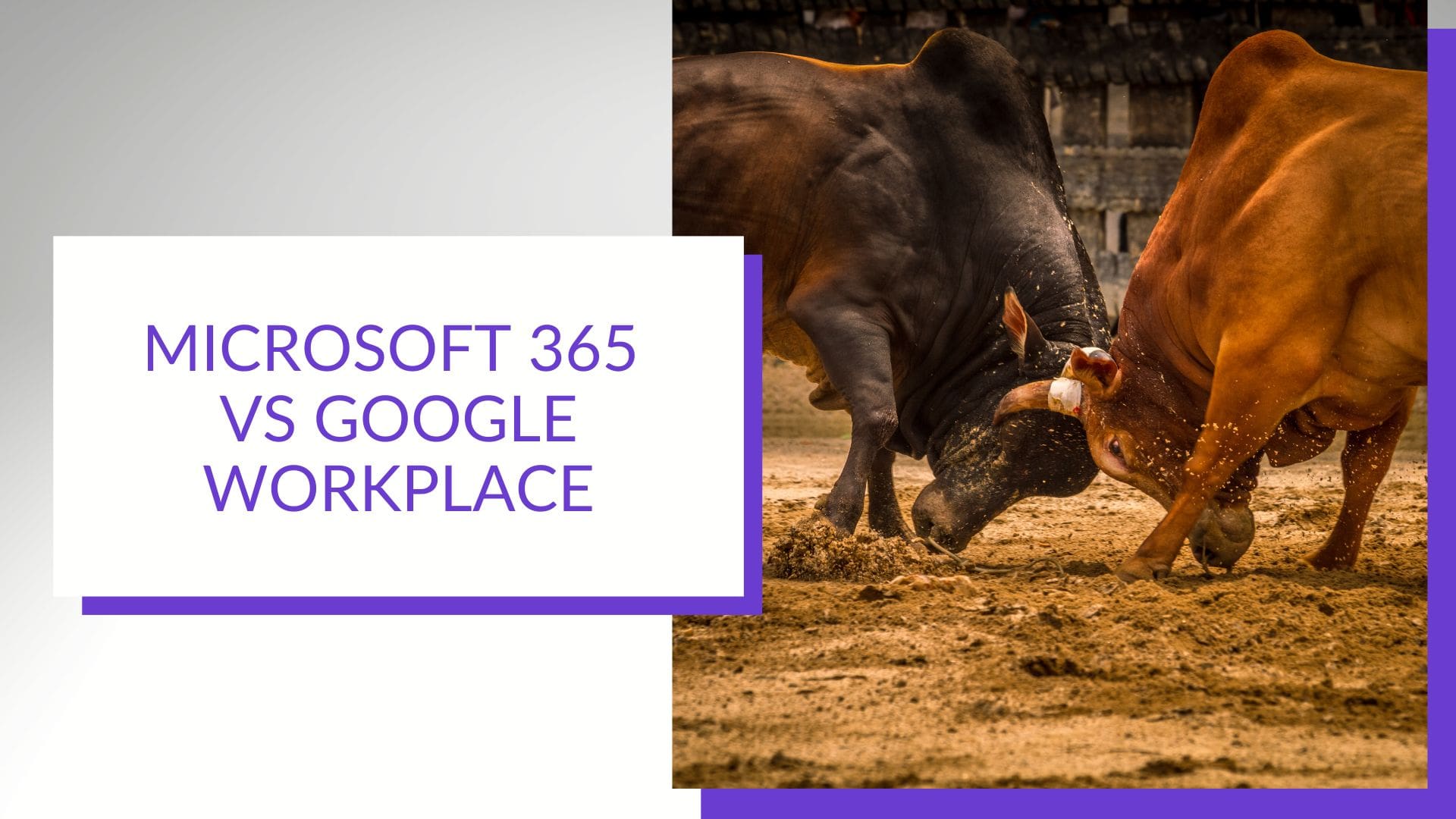 Google Workplace vs Microsoft 365