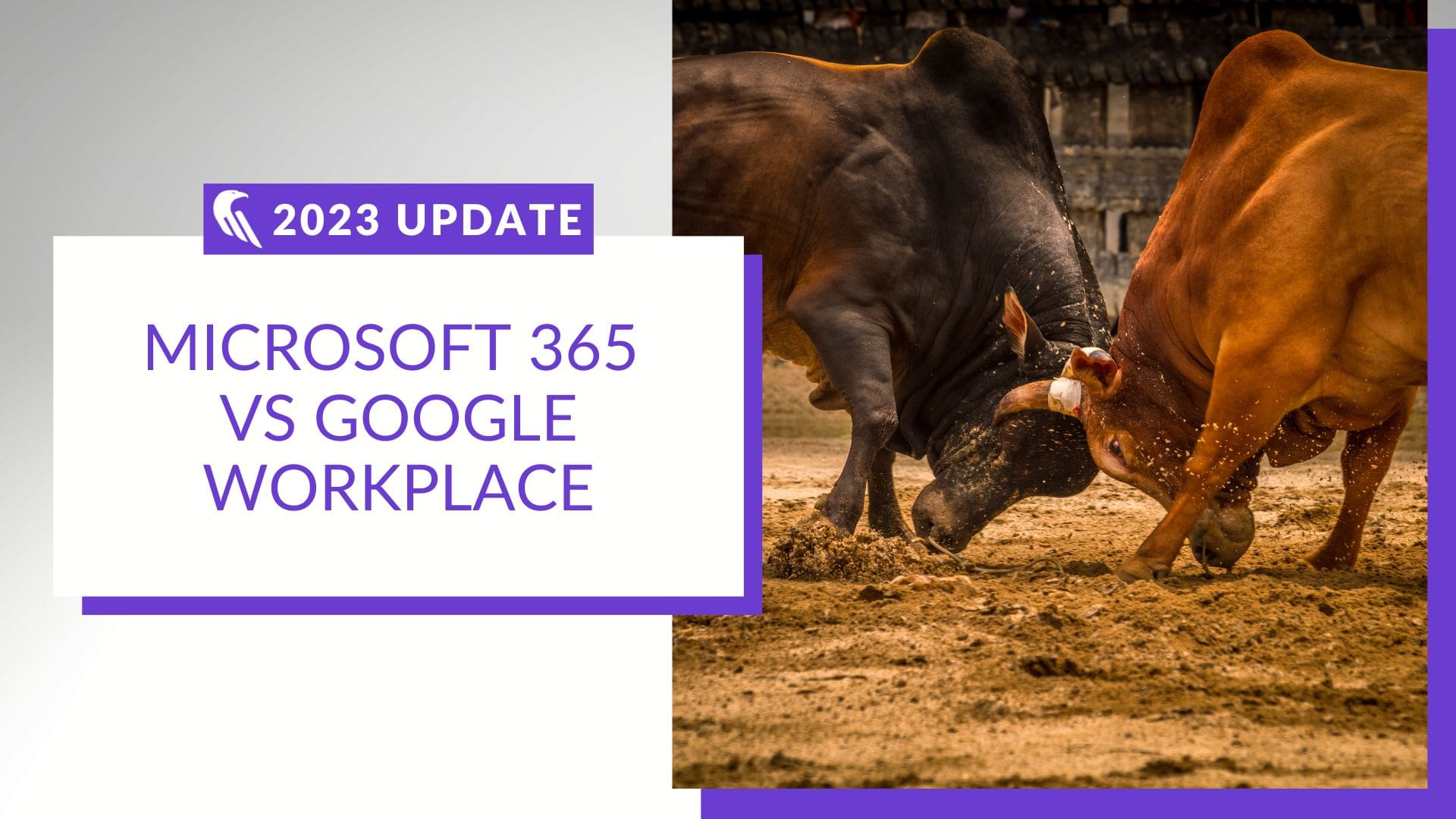 Google Workplace vs Microsoft 365 - 2023 Update